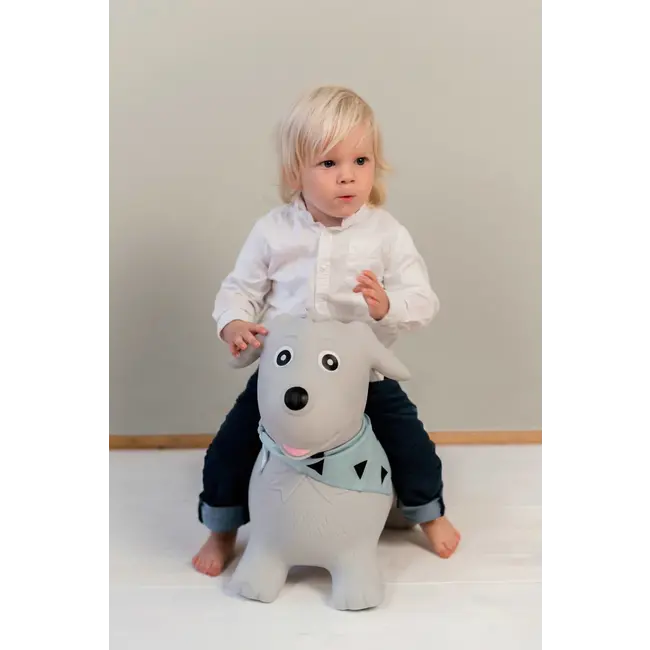 Kindsgut Springdier Hond 1 St