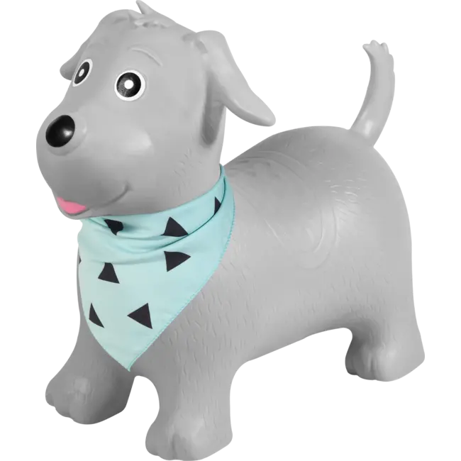 Kindsgut Springdier Hond 1 St