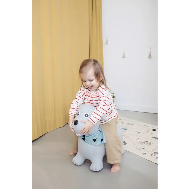 Kindsgut Springdier Hond 1 St