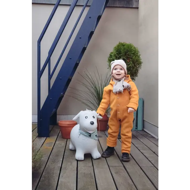 Kindsgut Springdier Hond 1 St