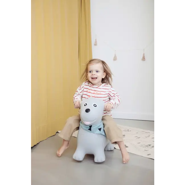 Kindsgut Springdier Hond 1 St