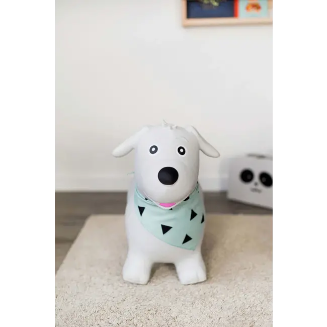 Kindsgut Springdier Hond 1 St