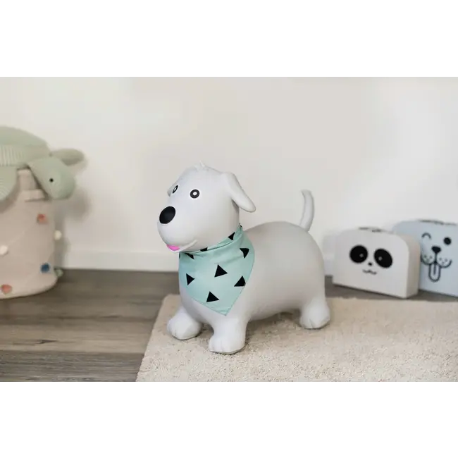 Kindsgut Springdier Hond 1 St