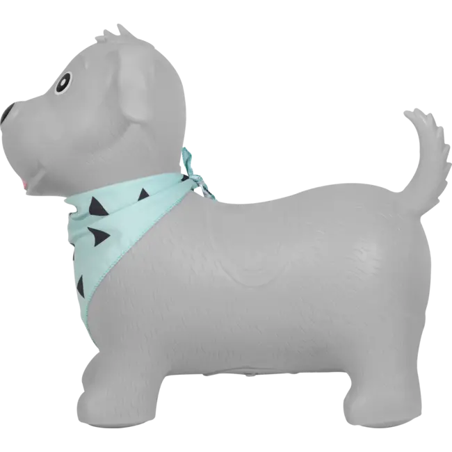 Kindsgut Springdier Hond 1 St