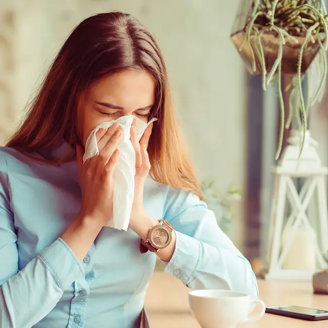 Kleenex Zakdoeken Box Balsem 56 St