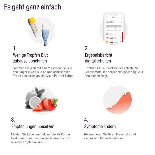 Lykon Voedselreactietest 1 St