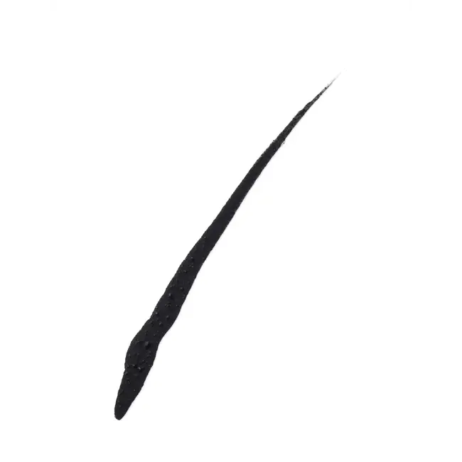 Maybelline New York Eyeliner Master Waterproof Mat Zwart 2.5 ml