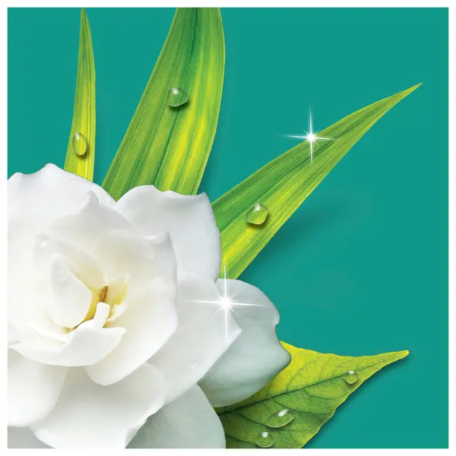 Meister Proper Universele Reiniger Voorjaarsontwaken 1 l