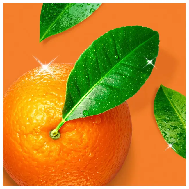 Meister Proper Keukenreiniger Vetverwijderaar Oranje 800 ml