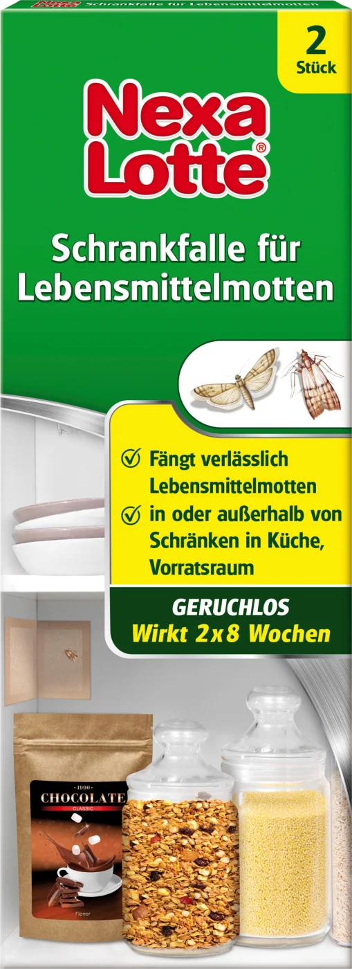 4 eenvoudige methoden die je nodig hebt wanneer kakkerlakken je huis