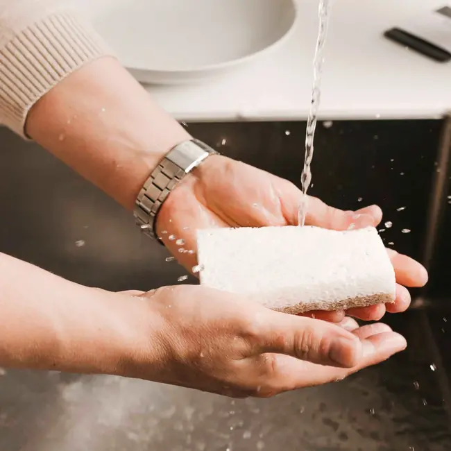 nordesign Serviesspons Kokos 2 St