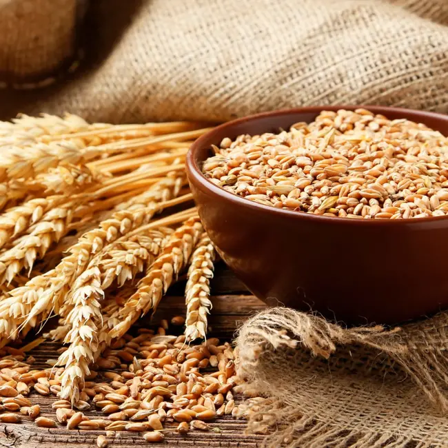 OGX Shampoo Dik & Vol Biotine & Collageen 385 ml