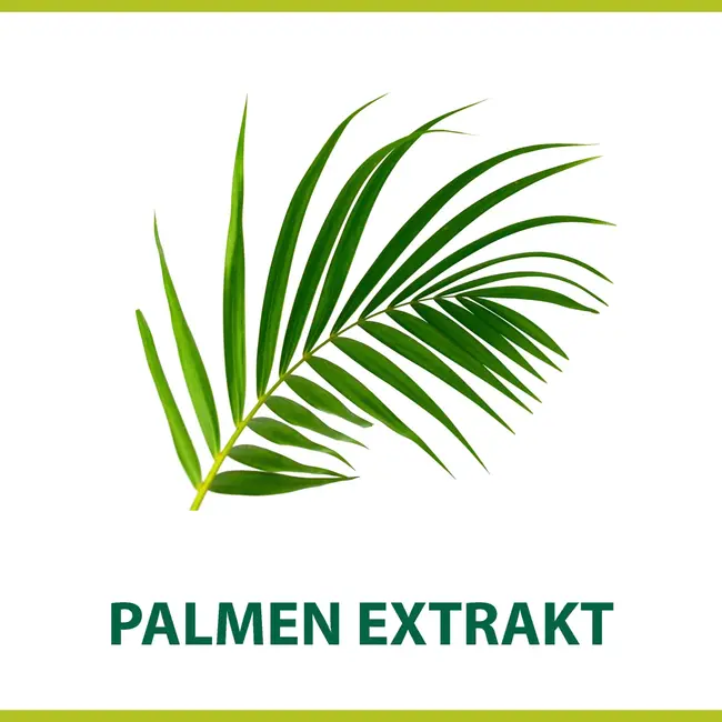 Palmolive Scheerschuim Classic 300 ml