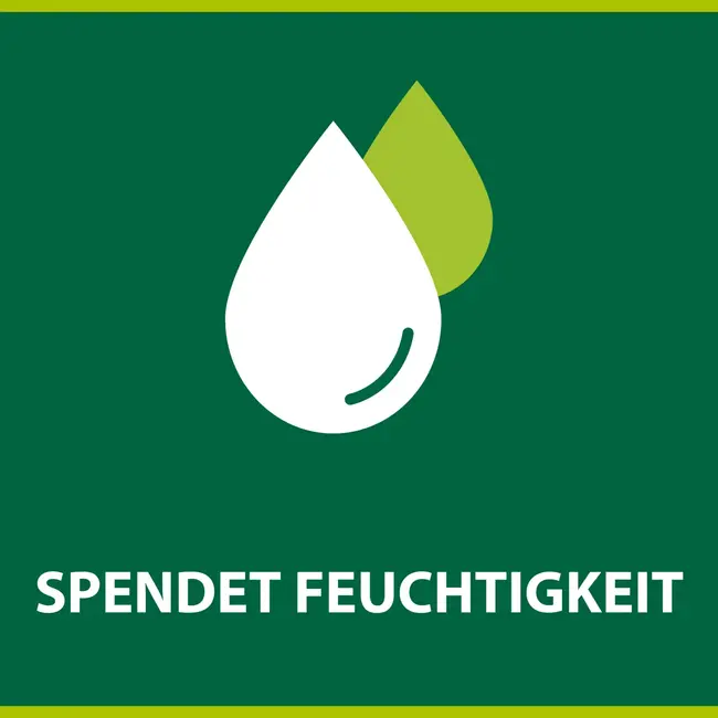 Palmolive Zeepstuk Olijf & Melk, Naturals 90 g