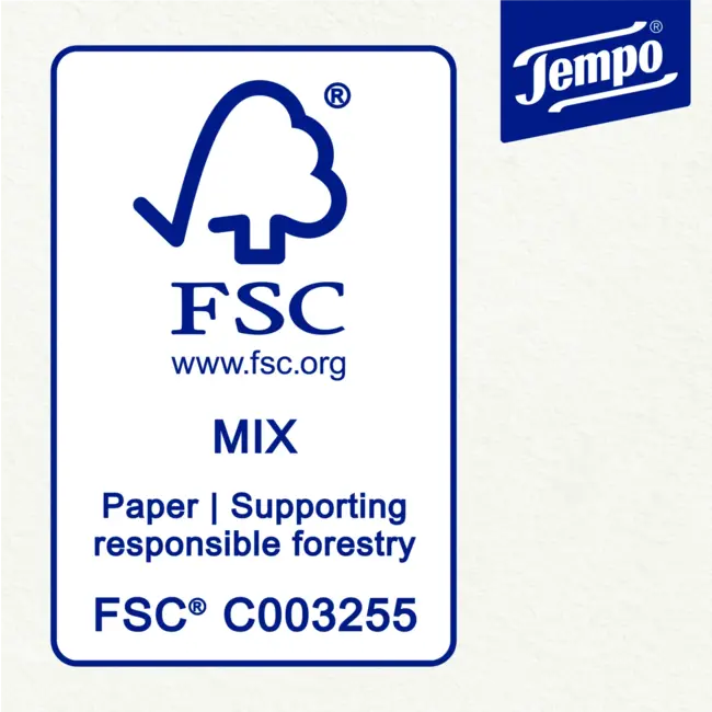 Tempo Zakdoeken Duo Box (2x100 Stuks) 200 St