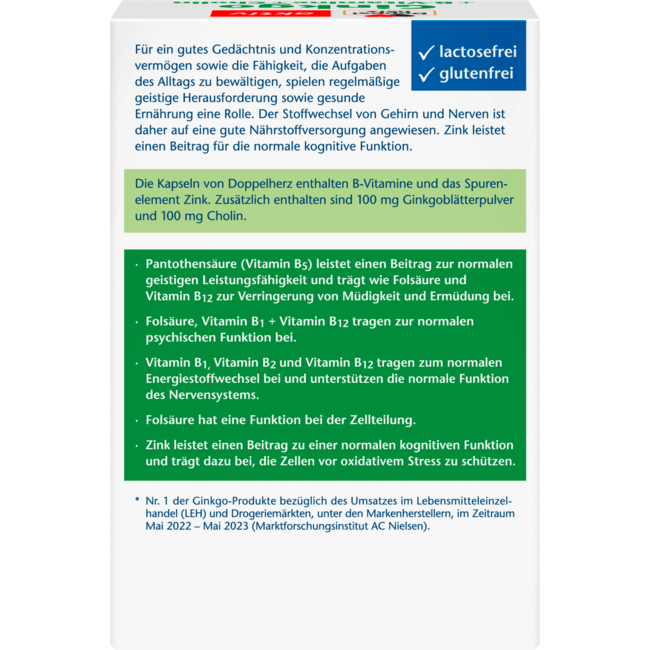 Doppelherz Ginkgo + B-vitamine + Cholin Kapseln 40 St 22.4 g