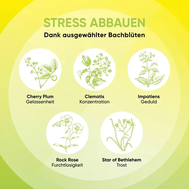 Bach RESCURA PLUS Bachbloesems Mentale Balans Druppels 10 ml