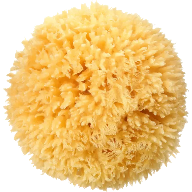 ebelin Natuurlijke badspons 1 St