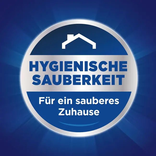 Der General Allesreiniger Citroen 750 ml