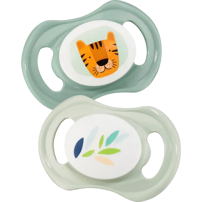 babylove Schnuller Latex Symmetrisch, Eukalyptus/mint, Gr.2, 5-18 Monate 2 St