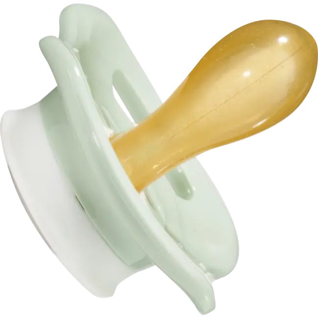 babylove Schnuller Latex Symmetrisch, Eukalyptus/mint, Gr.2, 5-18 Monate 2 St
