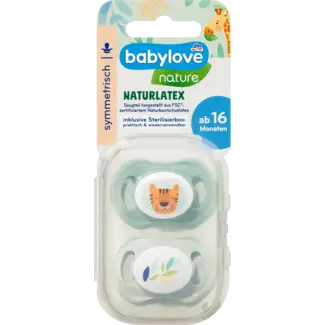 Babylove babylove Schnuller Latex Symmetrisch, Eukalyptus/mint, Gr.3, Ab 16 Monate