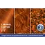 Schwarzkopf LIVE Haarverf 077 Caramel Copper 1 St