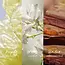 Mexx Inspired Nature For Her Eau De Parfum 30 ml