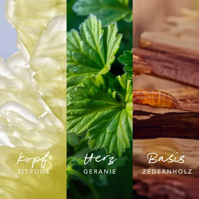 Mexx Inspired Nature For Him Eau De Parfum 30 ml