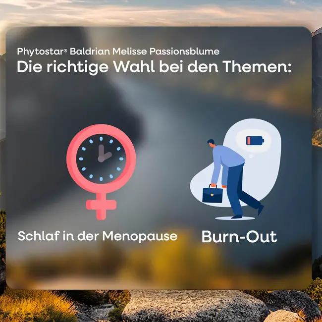 Phytostar® Valeriaan Melisse Passionblume Tablet 30.0 St