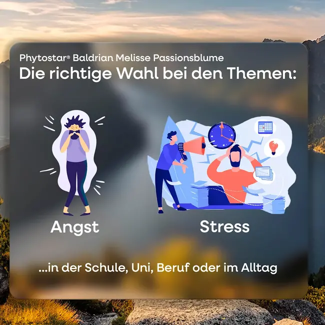 Phytostar® Valeriaan Melisse Passionblume Tablet 30.0 St