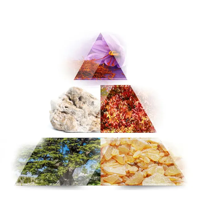 LA RIVE Elegante vrouw Eau de Parfum 100.0 ml