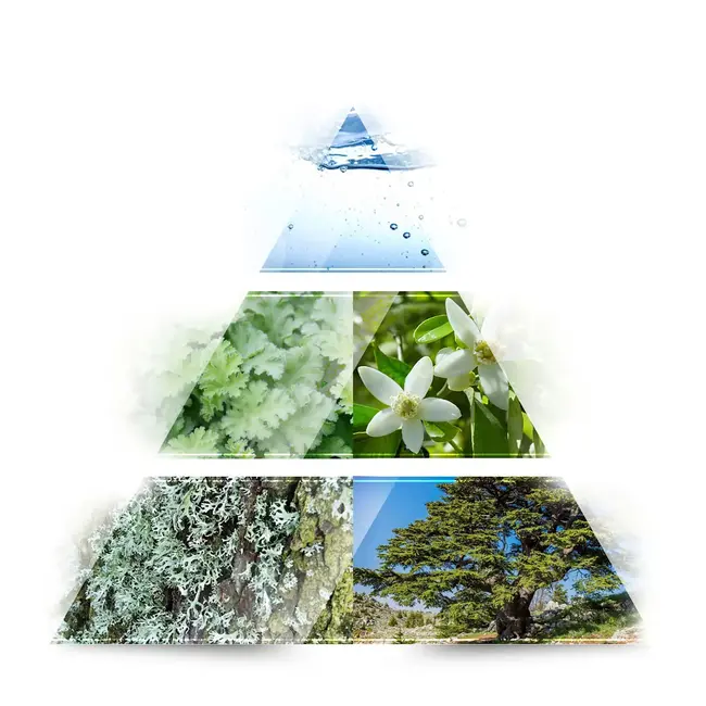 LA RIVE Distant Wave Eau De Toilette 100.0 ml