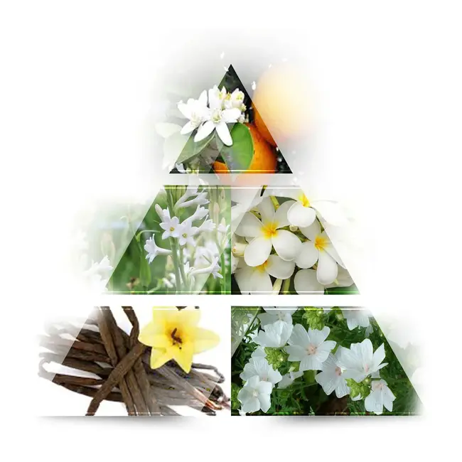 LA RIVE Her Choice Eau De Parfum 30.0 ml