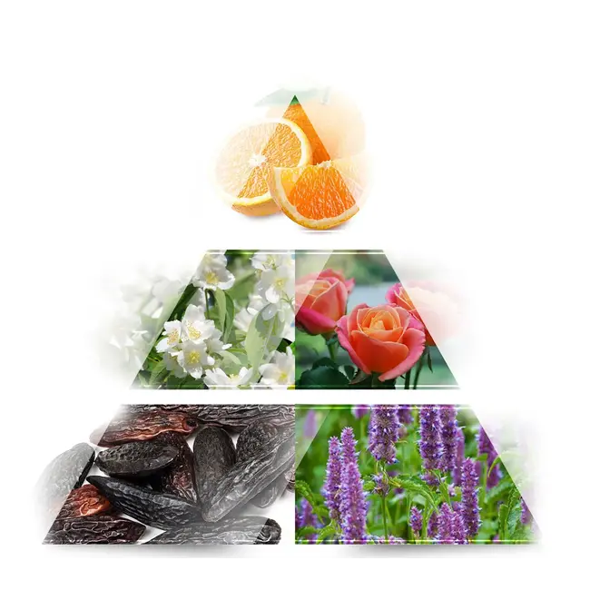 LA RIVE Isabel Eau De Parfum 100.0 ml