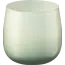 Profissimo Geurkaars In Glas Sunny Cactus 1.0 St