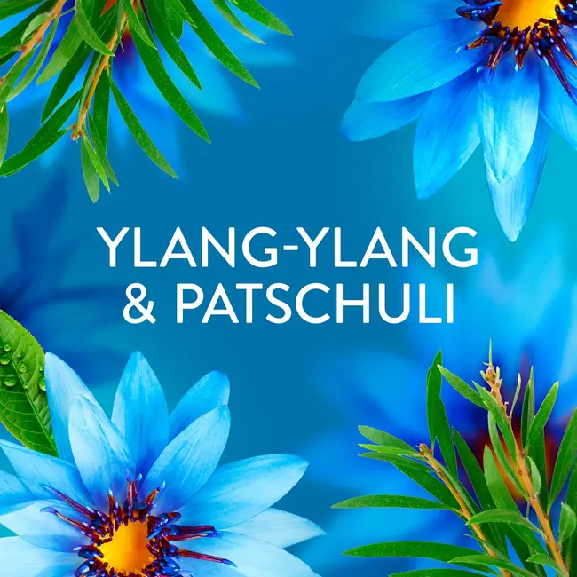 Lenor Wasverzachter Zeebries 59WL 1.239 l