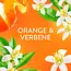 Lenor Wasverzachter Oranje & Verbena 59WL 1.239 l