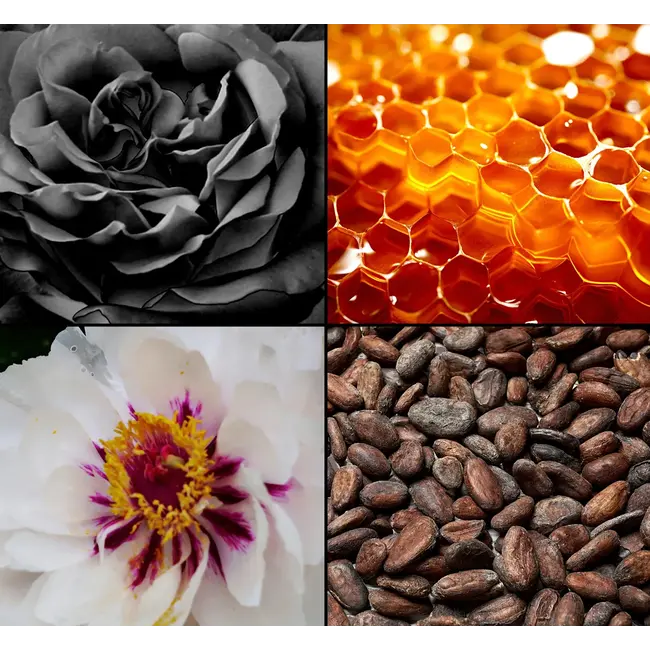 Tesori d'Oriente Byzantium Eau De Toilette 100.0 ml