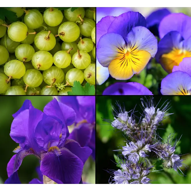 Tesori d'Oriente Ayurveda Eau De Toilette 100.0 ml