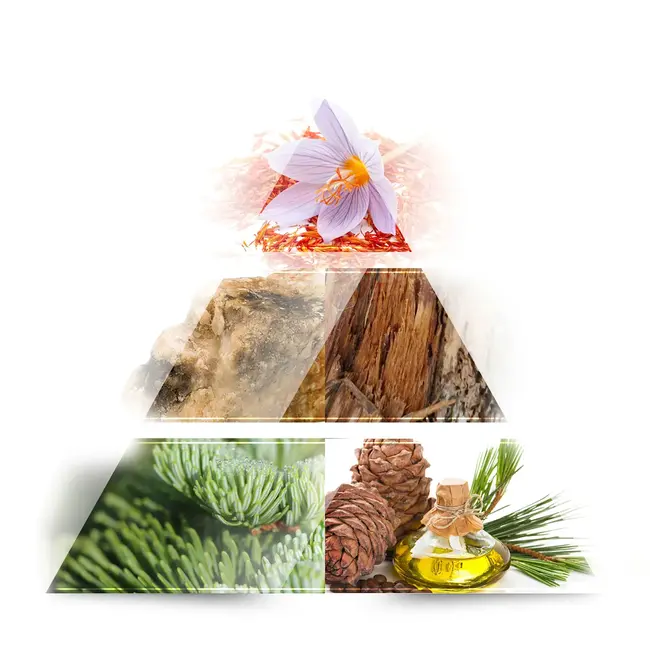 One Avenue Rouge Eau De Parfum 60ml