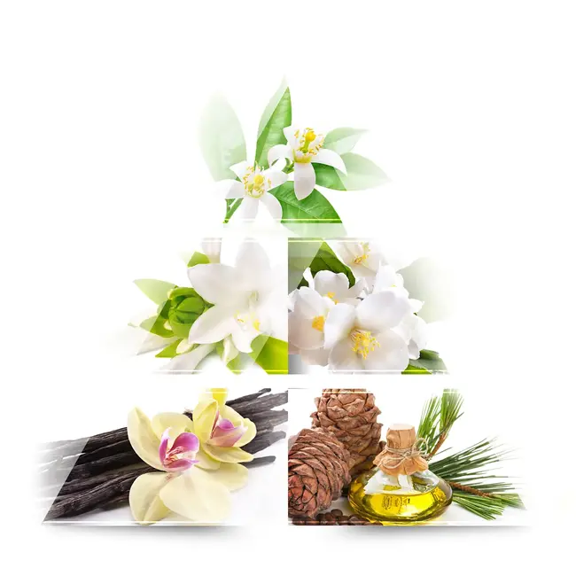 One Avenue Magnolia Eau De Parfum 60ml