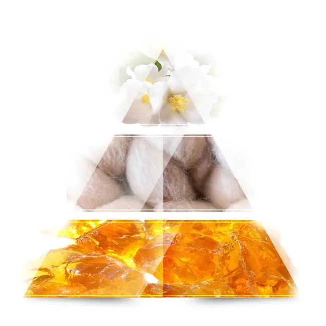 One Avenue Violet Eau De Parfum 60ml