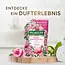Palmolive Vloeibare Zeep Pioen Navulverpakking 500.0 ml