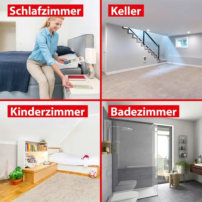 MELLERUD Schimmel Sneltest 1.0 St