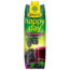 RAUCH Rauch Happy Day Fruitsap Zwarte Bessen 1L