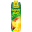 RAUCH Rauch Happy Day Fruitsap 100% Ananas 1L