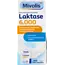 Mivolis Lactase 6000 Mini Tabletten 100 St 100 St