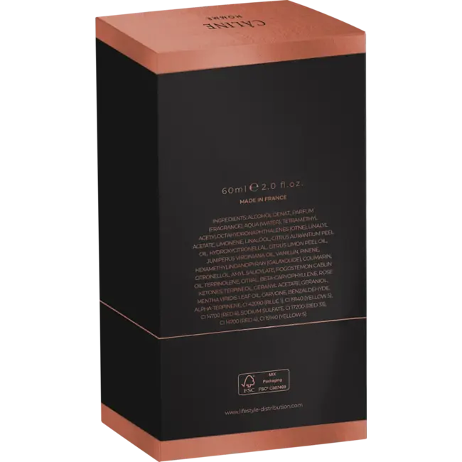 CÂLINE Krachtige Zwarte Eau De Toilette Van HOMME 60 ml