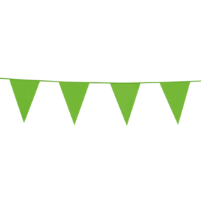 Vlaggenlijn 10 meter Licht groen